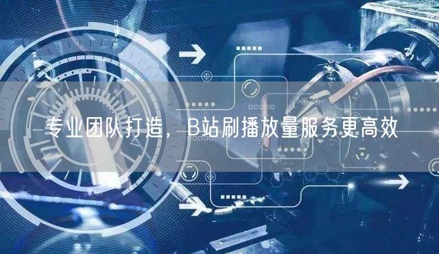 专业团队打造，B站刷播放量服务更高效