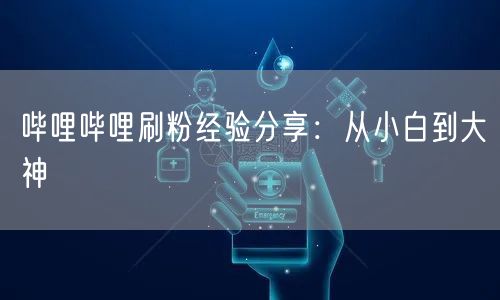 哔哩哔哩刷粉经验分享：从小白到大神