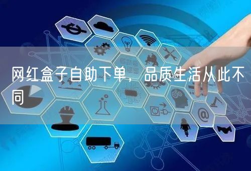 网红盒子自助下单，品质生活从此不同