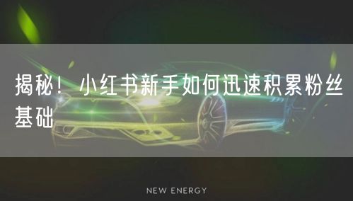 揭秘!小红书新手如何迅速积累粉丝基础