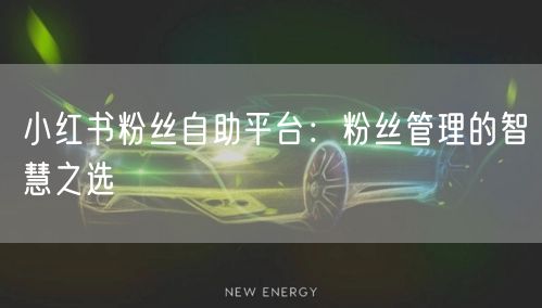 小红书粉丝自助平台：粉丝管理的智慧之选